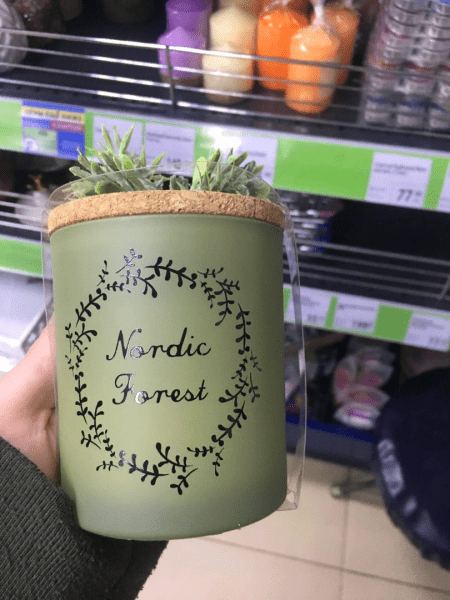 Я нашла много новинок в Фикс Прайс 10.07.2021 Я нашла много новинок в Фикс Прайс 10.07.2021