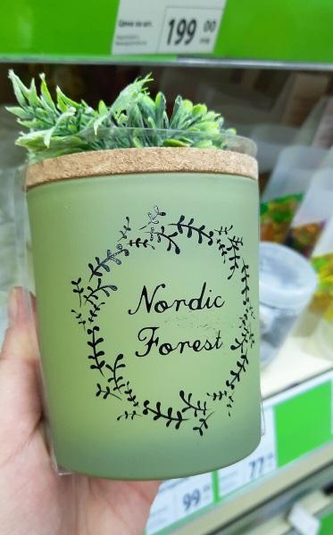 Фикс Прайс: новинки порадовали. Показываю - в обзоре от 30.01 Фикс Прайс: новинки порадовали. Показываю - в обзоре от 30.01