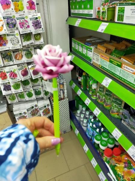 В FIX price я покупаю вкусное Мороженое .