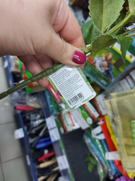 СНОВА ВСЕ ПОЛКИ БИТКОМ в Фикс Прайс