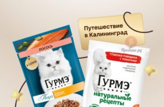 Акция Гурмэ в Магните до 11 февраля 2025 года