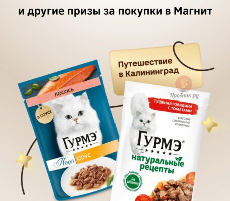 Акция Гурмэ в Магните до 11 февраля 2025 года