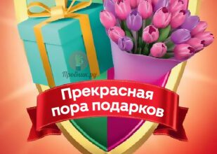 Игра «Прекрасная пора подарков» в Магните до 9 марта 2025 года