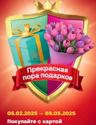 Игра «Прекрасная пора подарков» в Магните до 9 марта 2025 года