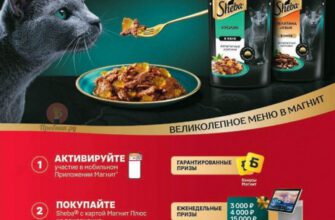 Акция Sheba с призами в Магните до 29 июля 2025 года