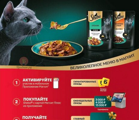 Акция Sheba с призами в Магните до 29 июля 2025 года