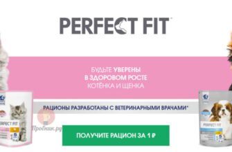 Купон на скидку 99% на PERFECT FIT до 30 июля 2025 года