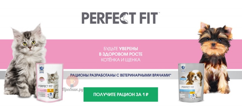 Купон на скидку 99% на PERFECT FIT до 30 июля 2025 года