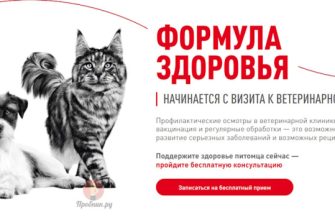 Бесплатное посещение ветеринарного врача от Royal Canin до 31 декабря 2025 года