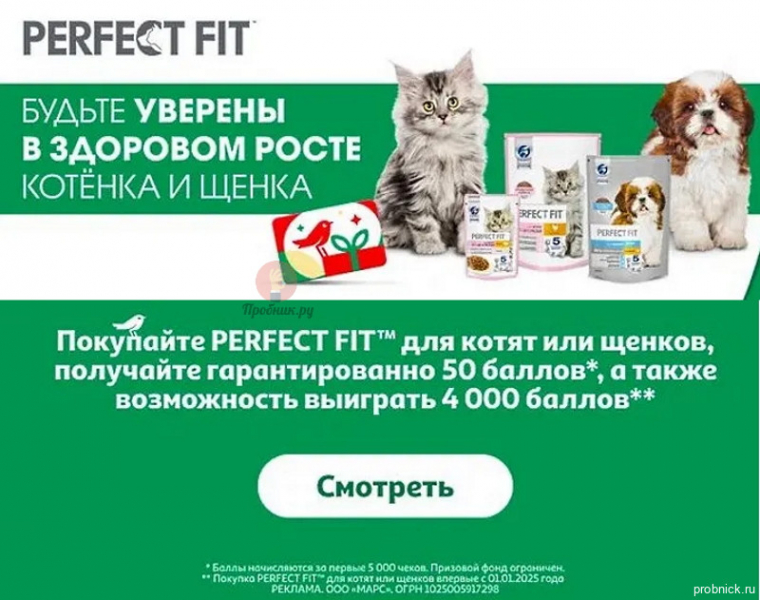 Акция Perfect Fit в Ашане до 10 августа 2025 года Акция «Ашан Perfect Fit» заканчивается 10 августа 2025 года